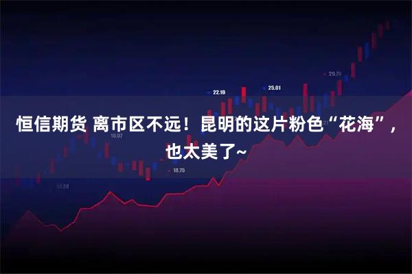 恒信期货 离市区不远！昆明的这片粉色“花海”，也太美了~