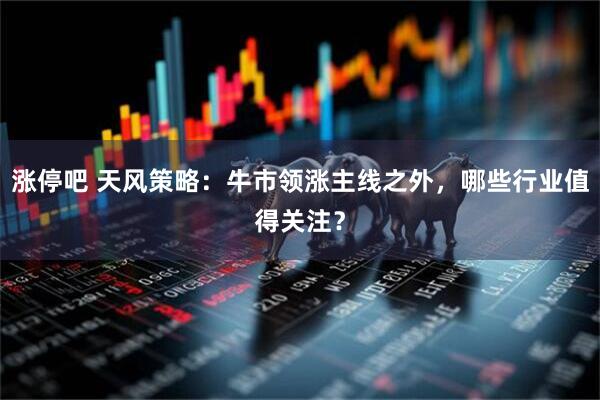 涨停吧 天风策略：牛市领涨主线之外，哪些行业值得关注？