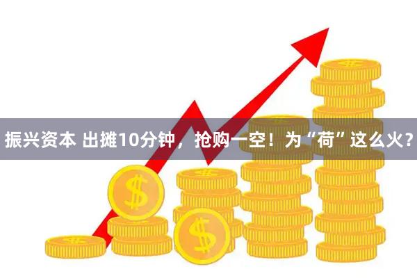 振兴资本 出摊10分钟，抢购一空！为“荷”这么火？