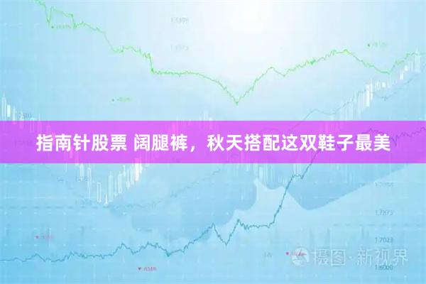 指南针股票 阔腿裤，秋天搭配这双鞋子最美